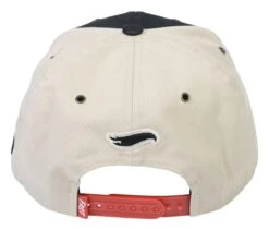 Fasthouse Dash Hot Wheels Snapback Hat -Moto Forge Sales Store fasthouse dash hot wheels hat black 4